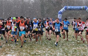 Championnats de zone Alsace de cross (R) :  BRUMATH (67)